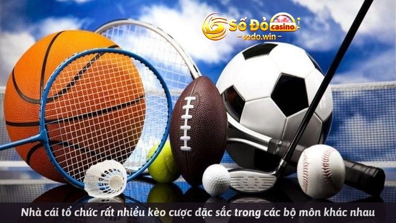 Nhà cái tổ chức rất nhiều kèo cược đặc sắc trong các bộ môn khác nhau