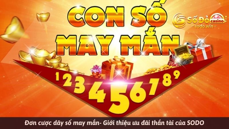 Đơn cược dãy số may mắn- Giới thiệu ưu đãi thần tài của SODO