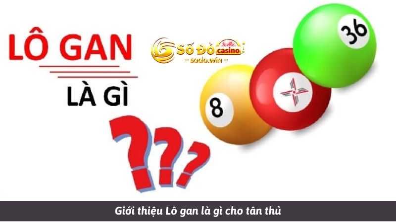 Giới thiệu Lô gan là gì cho tân thủ